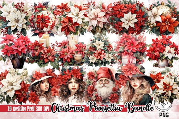 Christmas Poinsettia Bundle Clipart PNG for Illustrations